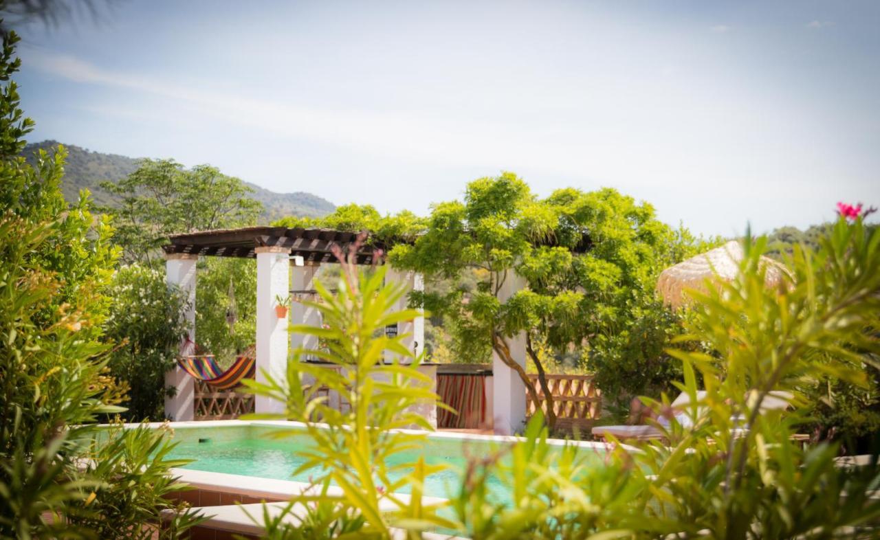 Hacienda El Tarajal Hotel Priego De Cordoba Exterior photo