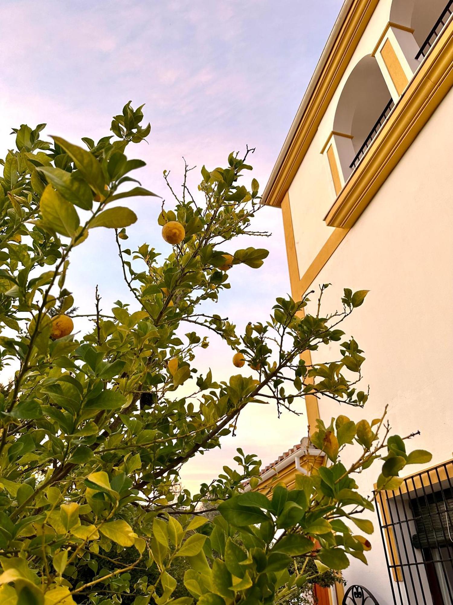 Hacienda El Tarajal Hotel Priego De Cordoba Exterior photo